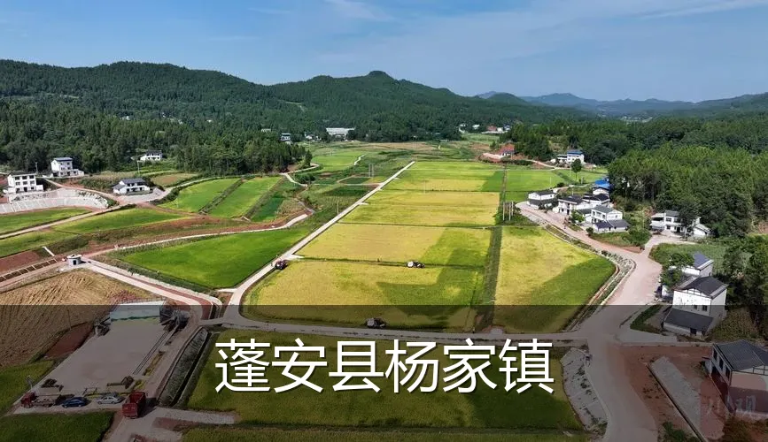 蓬安县杨家镇